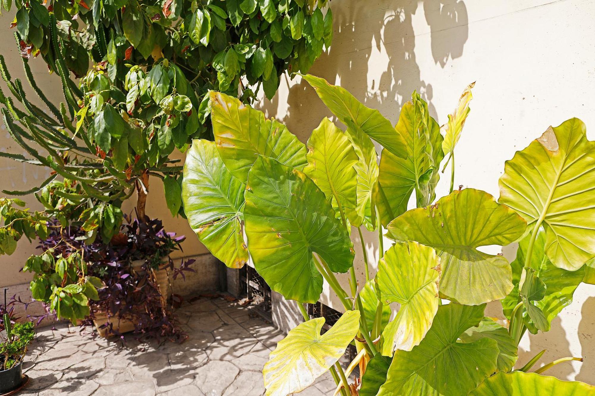 San Martino Bed & Breakfast - Rome — Foto 1